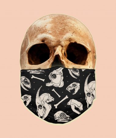 Animal Skulls Face Mask