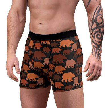 Brown Bears Bear Pride LGBT Animal Print Men's Boxer Briefs