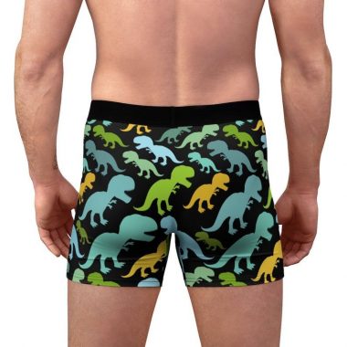 Dinosaurs Cartoon Green Animal Men's Boxer Briefs Underwear