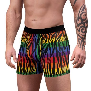 Rainbow Zebra Animal Print Gay Pride LGBTQ Flag Stripes Men's Boxer Briefs