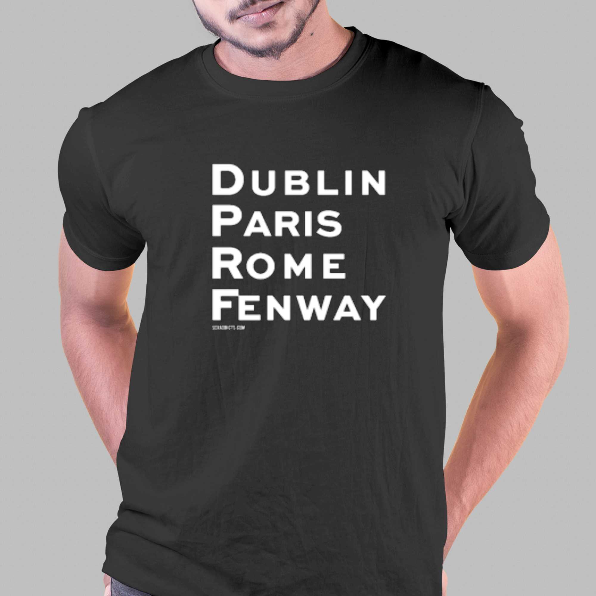 Famous Places Dublin Paris Rome Fenway T-shirt - Shibtee Clothing